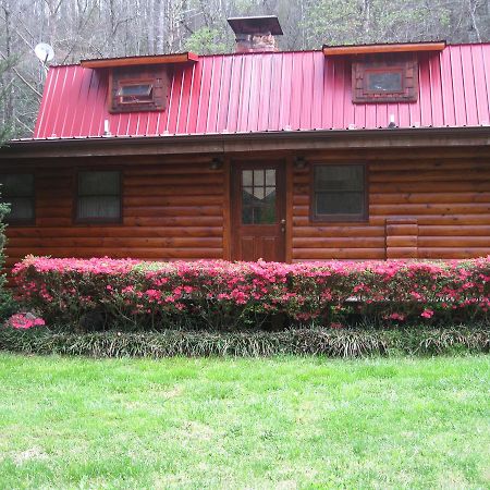 Buffalo Creek Bed And Breakfast Robbinsville Kültér fotó