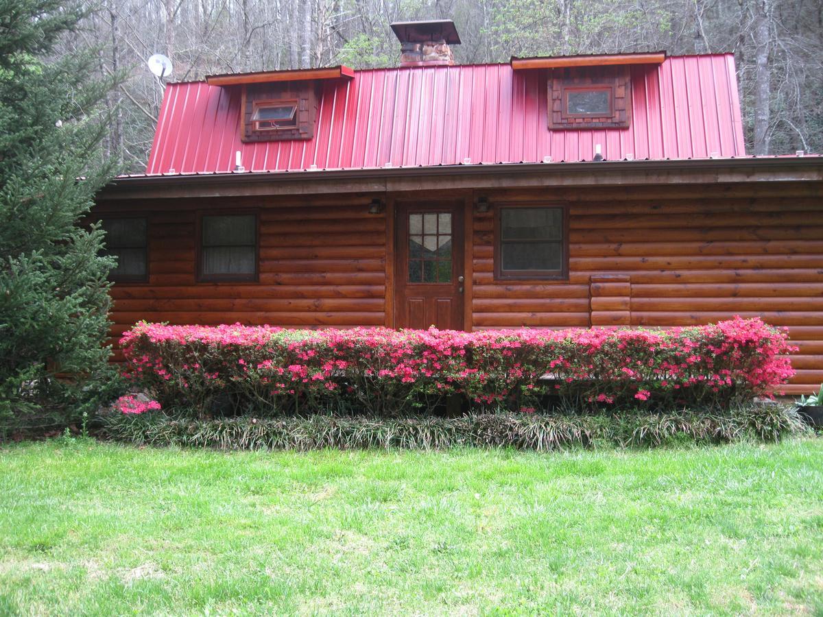 Buffalo Creek Bed And Breakfast Robbinsville Kültér fotó