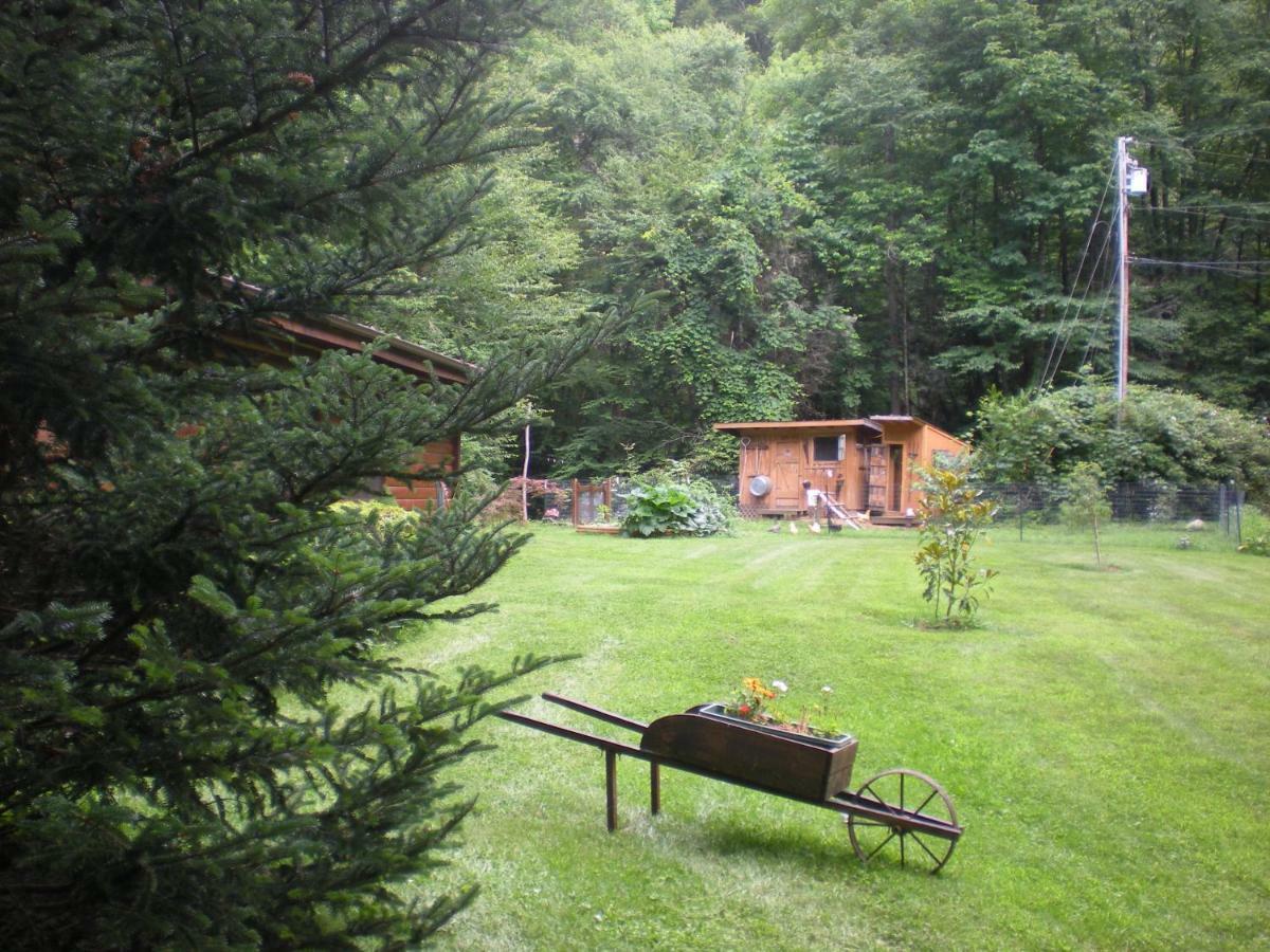 Buffalo Creek Bed And Breakfast Robbinsville Kültér fotó